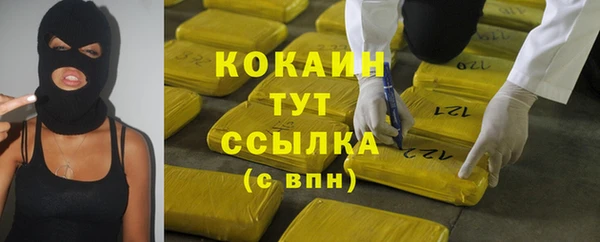 индика Армянск