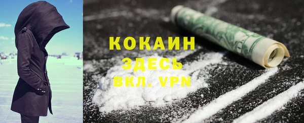 индика Армянск