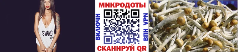 Галлюциногенные грибы Psilocybe гидра ссылка Багратионовск
